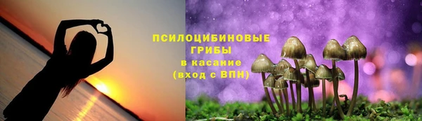 spice Алексин