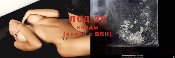 ПСИЛОЦИБИНОВЫЕ ГРИБЫ Алзамай