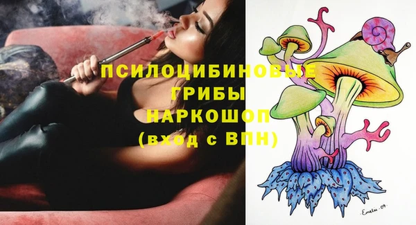 ПСИЛОЦИБИНОВЫЕ ГРИБЫ Алзамай