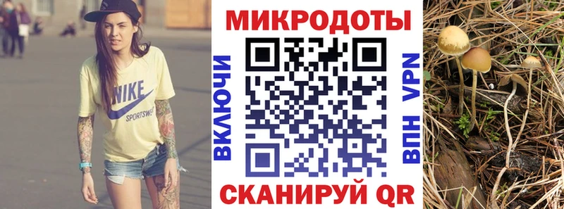 Псилоцибиновые грибы ЛСД Ялуторовск