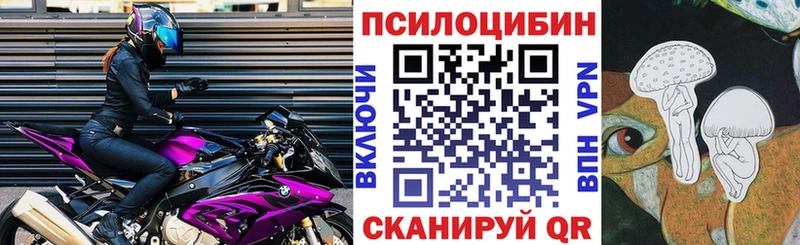 мориарти официальный сайт  Ялуторовск  Галлюциногенные грибы MAGIC MUSHROOMS  купить закладку 