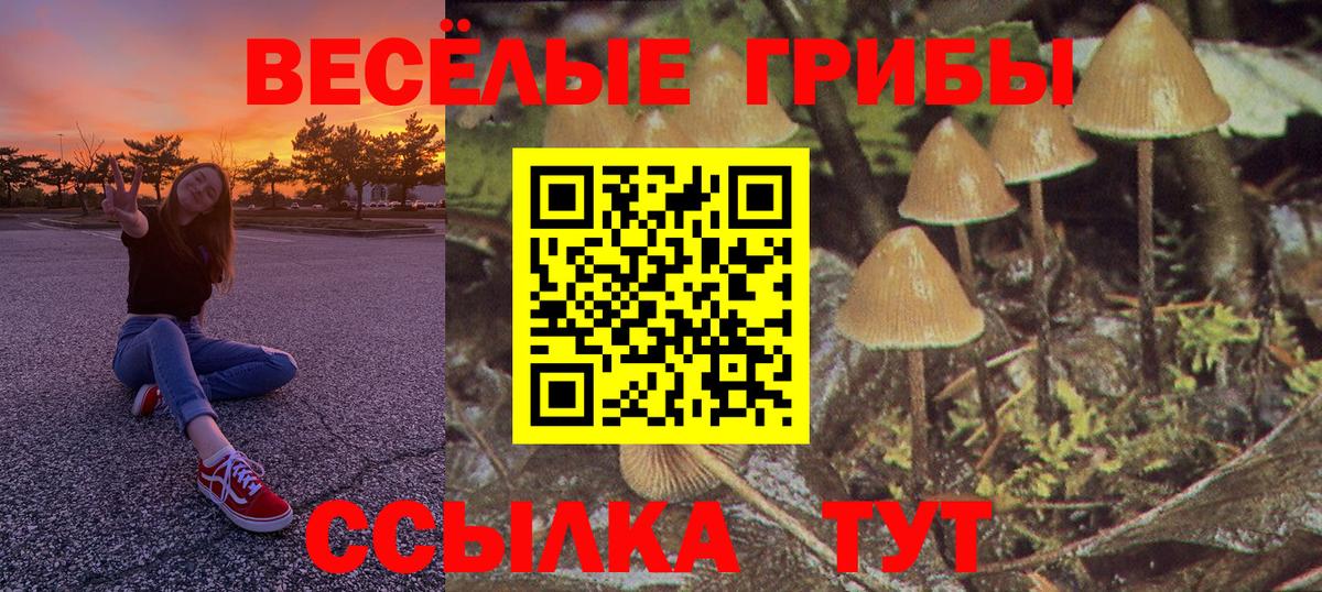 Псилоцибиновые грибы мухоморы Ялуторовск