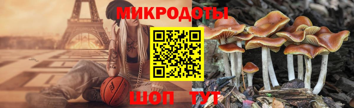 Галлюциногенные грибы мухоморы  Псилоцибиновые грибы Magic Shrooms  Ялуторовск  Вход с VPN 